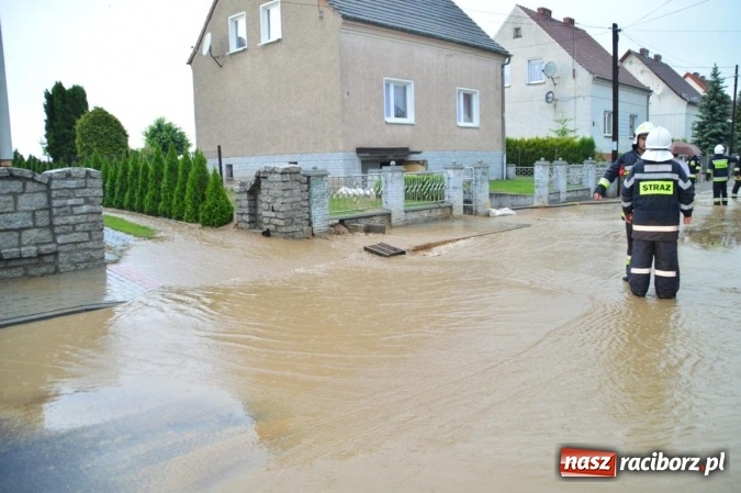 Zdjęcie w galerii na portalu naszraciborz.pl: Popadało i znów Sobieskiego zalana. Mieszkańcy pozdrawiają władze miasta wiadomości z regionu