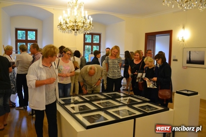 Zdjęcie w galerii na portalu naszraciborz.pl: DYPLOM 2016 - prezentacja prac dyplomowych Liceum Plastycznego na zamku wiadomości z regionu