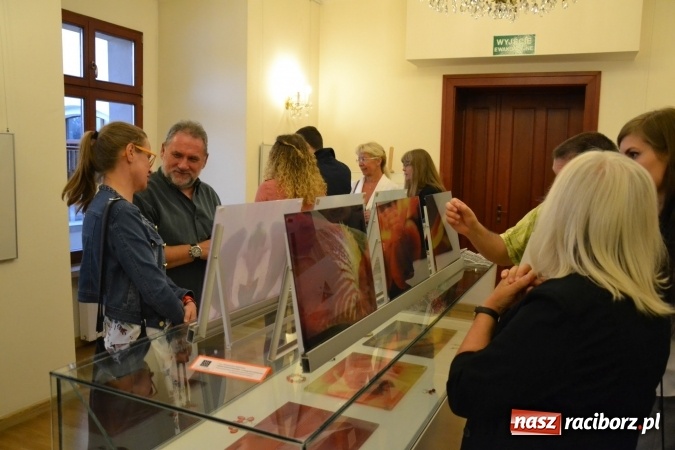 Zdjęcie w galerii na portalu naszraciborz.pl: DYPLOM 2016 - prezentacja prac dyplomowych Liceum Plastycznego na zamku wiadomości z regionu