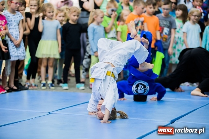 Zdjęcie w galerii na portalu naszraciborz.pl: Festyn rodzinny w Szkole Podstawowej nr 13 wiadomości z regionu