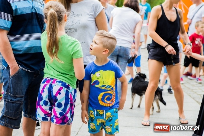 Zdjęcie w galerii na portalu naszraciborz.pl: X Jubileuszowy Bieg Profilaktyczny już za nami wiadomości z regionu