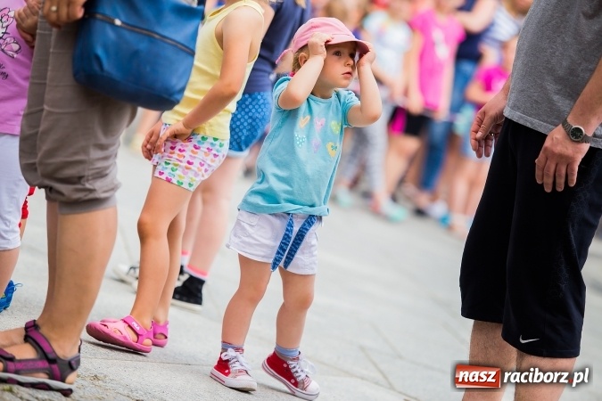 Zdjęcie w galerii na portalu naszraciborz.pl: X Jubileuszowy Bieg Profilaktyczny już za nami wiadomości z regionu