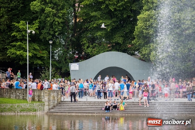 Zdjęcie w galerii na portalu naszraciborz.pl: X Jubileuszowy Bieg Profilaktyczny już za nami wiadomości z regionu