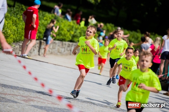 Zdjęcie w galerii na portalu naszraciborz.pl: X Jubileuszowy Bieg Profilaktyczny już za nami wiadomości z regionu