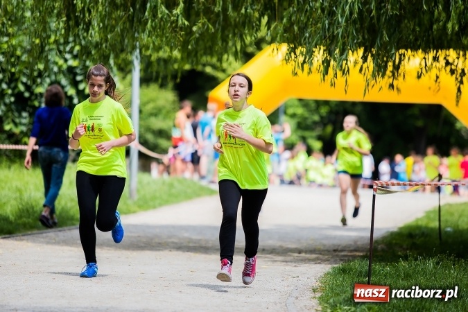 Zdjęcie w galerii na portalu naszraciborz.pl: X Jubileuszowy Bieg Profilaktyczny już za nami wiadomości z regionu