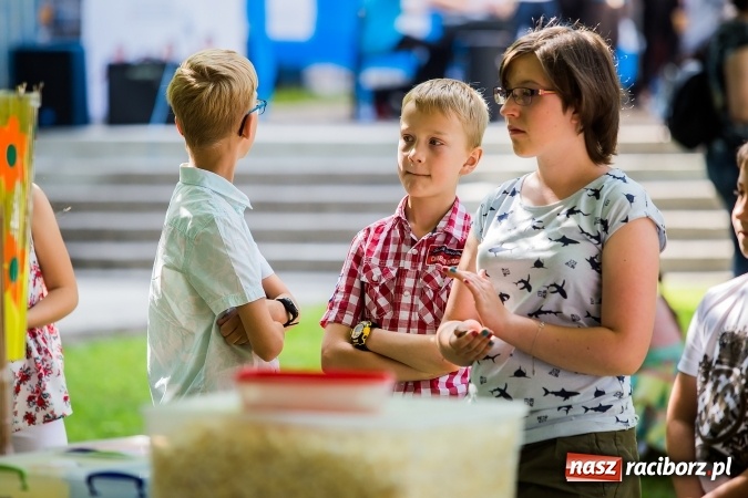 Zdjęcie w galerii na portalu naszraciborz.pl: Muzyczny Festyn Rodzinny w Państwowej Szkole Muzycznej wiadomości z regionu