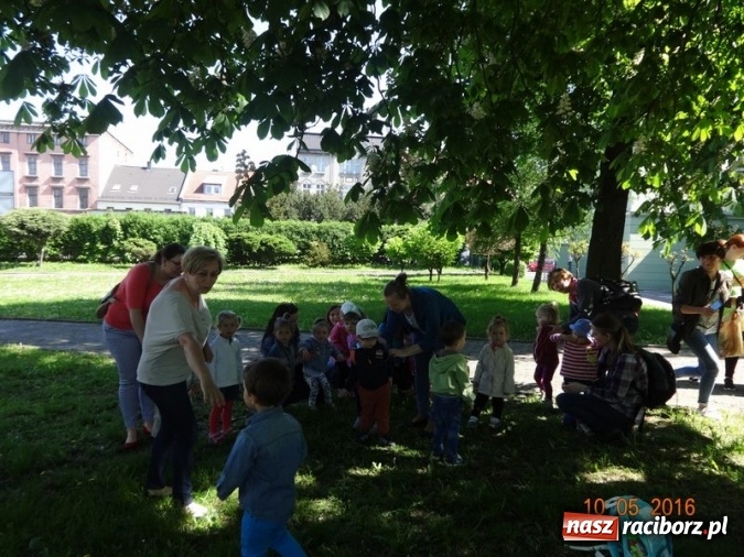 Zdjęcie w galerii na portalu naszraciborz.pl: Maluchy z Fiku-miku już na wakacjach  wiadomości z regionu