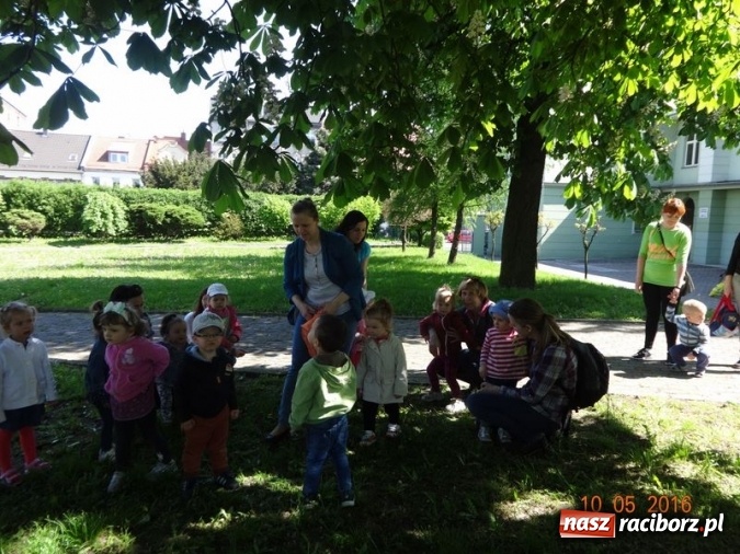 Zdjęcie w galerii na portalu naszraciborz.pl: Maluchy z Fiku-miku już na wakacjach  wiadomości z regionu