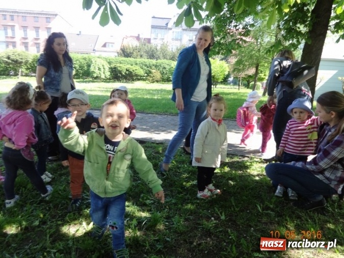 Zdjęcie w galerii na portalu naszraciborz.pl: Maluchy z Fiku-miku już na wakacjach  wiadomości z regionu