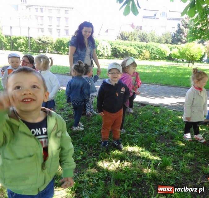 Zdjęcie w galerii na portalu naszraciborz.pl: Maluchy z Fiku-miku już na wakacjach  wiadomości z regionu