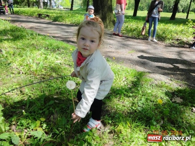 Zdjęcie w galerii na portalu naszraciborz.pl: Maluchy z Fiku-miku już na wakacjach  wiadomości z regionu