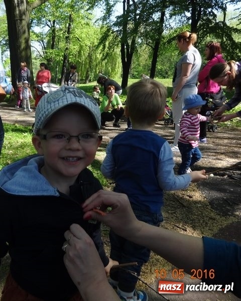Zdjęcie w galerii na portalu naszraciborz.pl: Maluchy z Fiku-miku już na wakacjach  wiadomości z regionu