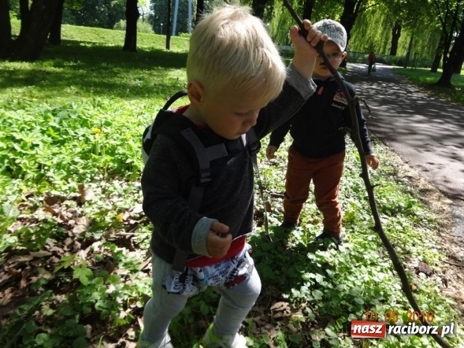 Zdjęcie w galerii na portalu naszraciborz.pl: Maluchy z Fiku-miku już na wakacjach  wiadomości z regionu