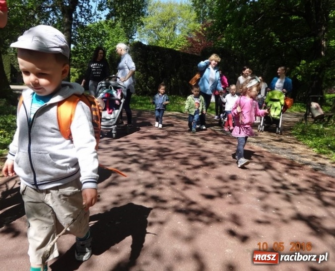 Zdjęcie w galerii na portalu naszraciborz.pl: Maluchy z Fiku-miku już na wakacjach  wiadomości z regionu