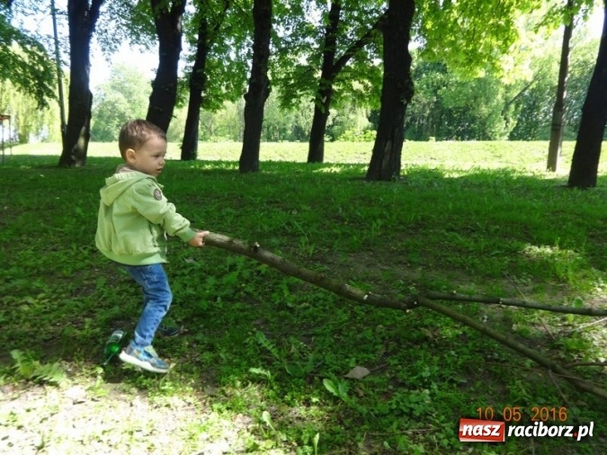 Zdjęcie w galerii na portalu naszraciborz.pl: Maluchy z Fiku-miku już na wakacjach  wiadomości z regionu