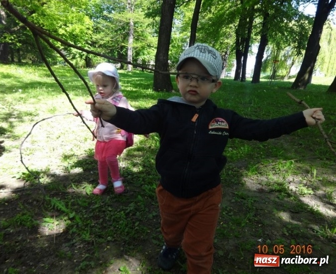 Zdjęcie w galerii na portalu naszraciborz.pl: Maluchy z Fiku-miku już na wakacjach  wiadomości z regionu