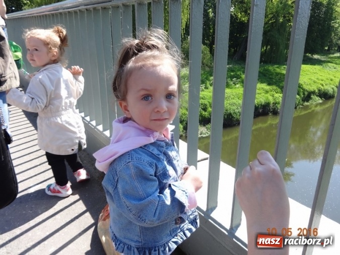 Zdjęcie w galerii na portalu naszraciborz.pl: Maluchy z Fiku-miku już na wakacjach  wiadomości z regionu