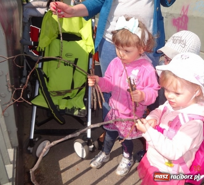 Zdjęcie w galerii na portalu naszraciborz.pl: Maluchy z Fiku-miku już na wakacjach  wiadomości z regionu