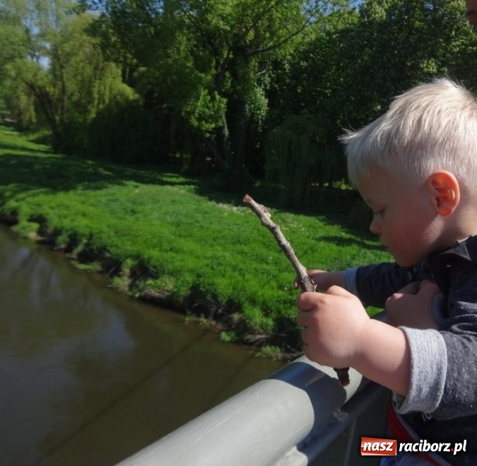 Zdjęcie w galerii na portalu naszraciborz.pl: Maluchy z Fiku-miku już na wakacjach  wiadomości z regionu