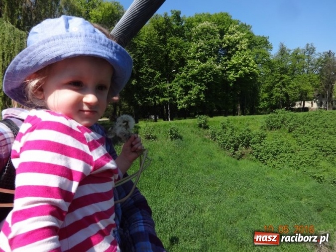 Zdjęcie w galerii na portalu naszraciborz.pl: Maluchy z Fiku-miku już na wakacjach  wiadomości z regionu