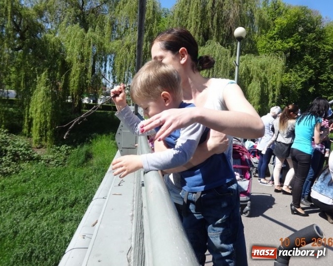 Zdjęcie w galerii na portalu naszraciborz.pl: Maluchy z Fiku-miku już na wakacjach  wiadomości z regionu