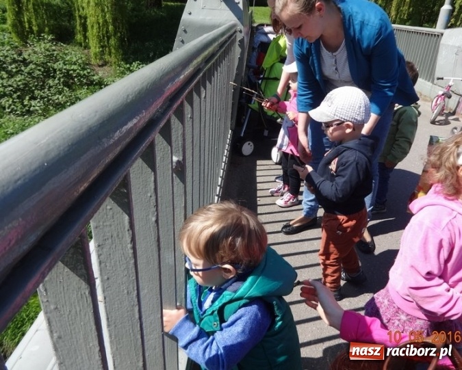 Zdjęcie w galerii na portalu naszraciborz.pl: Maluchy z Fiku-miku już na wakacjach  wiadomości z regionu
