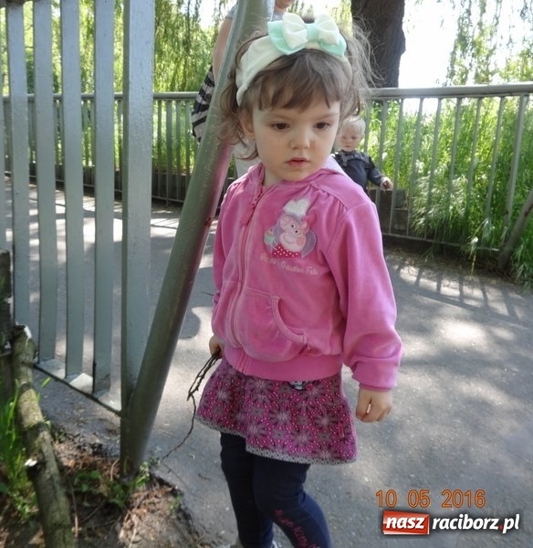 Zdjęcie w galerii na portalu naszraciborz.pl: Maluchy z Fiku-miku już na wakacjach  wiadomości z regionu