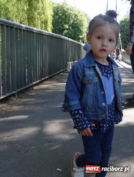 Zdjęcie w galerii na portalu naszraciborz.pl: Maluchy z Fiku-miku już na wakacjach  wiadomości z regionu