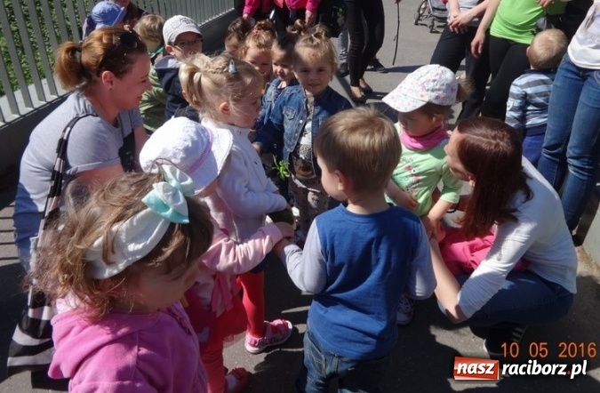 Zdjęcie w galerii na portalu naszraciborz.pl: Maluchy z Fiku-miku już na wakacjach  wiadomości z regionu