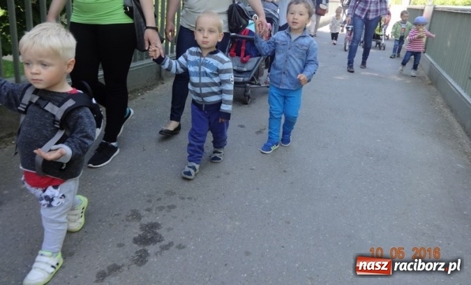 Zdjęcie w galerii na portalu naszraciborz.pl: Maluchy z Fiku-miku już na wakacjach  wiadomości z regionu