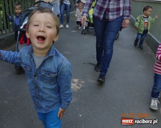 Zdjęcie w galerii na portalu naszraciborz.pl: Maluchy z Fiku-miku już na wakacjach  wiadomości z regionu
