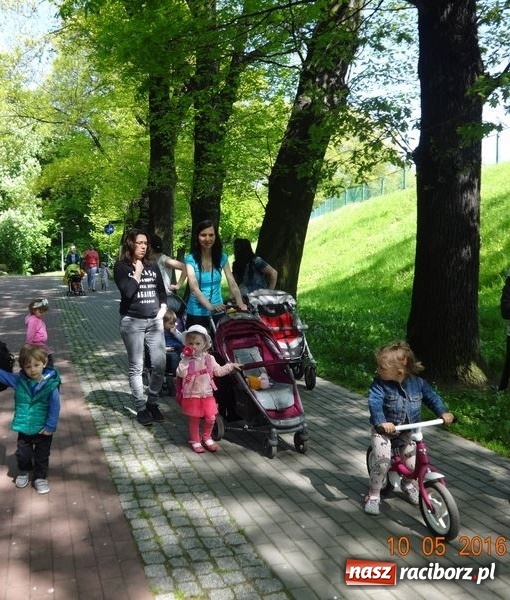 Zdjęcie w galerii na portalu naszraciborz.pl: Maluchy z Fiku-miku już na wakacjach  wiadomości z regionu