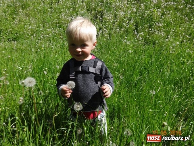 Zdjęcie w galerii na portalu naszraciborz.pl: Maluchy z Fiku-miku już na wakacjach  wiadomości z regionu