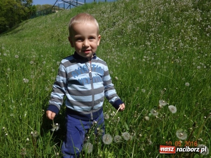 Zdjęcie w galerii na portalu naszraciborz.pl: Maluchy z Fiku-miku już na wakacjach  wiadomości z regionu
