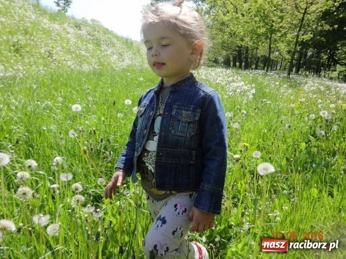 Zdjęcie w galerii na portalu naszraciborz.pl: Maluchy z Fiku-miku już na wakacjach  wiadomości z regionu