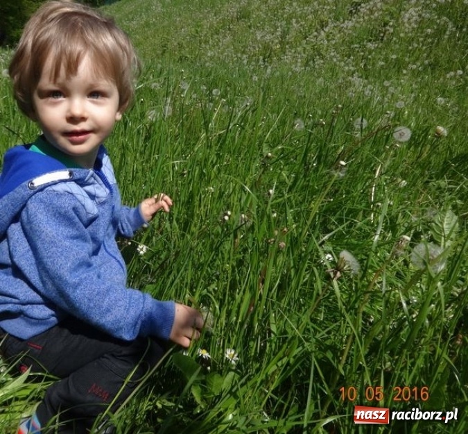 Zdjęcie w galerii na portalu naszraciborz.pl: Maluchy z Fiku-miku już na wakacjach  wiadomości z regionu