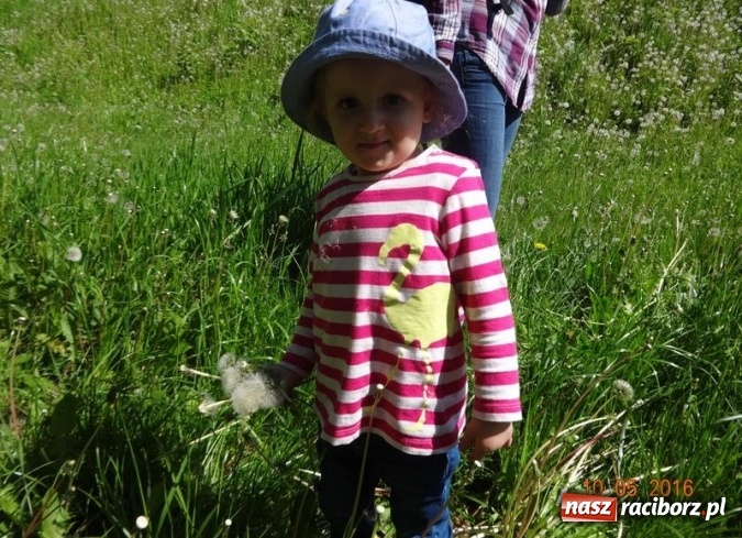 Zdjęcie w galerii na portalu naszraciborz.pl: Maluchy z Fiku-miku już na wakacjach  wiadomości z regionu