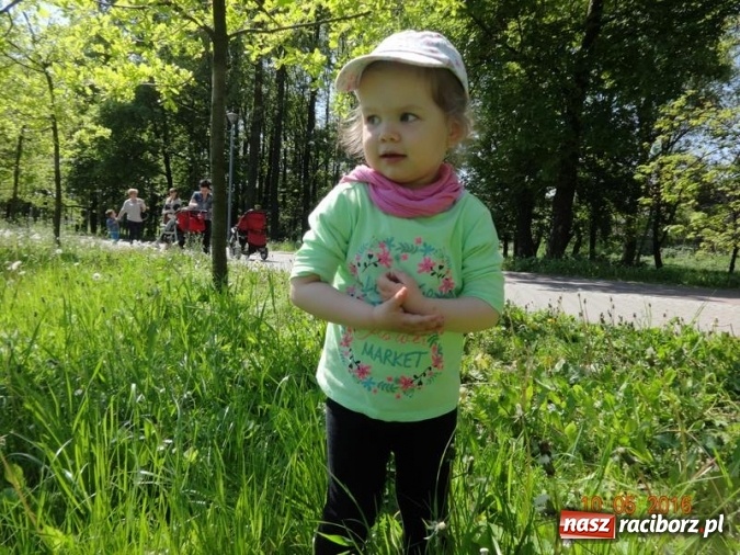 Zdjęcie w galerii na portalu naszraciborz.pl: Maluchy z Fiku-miku już na wakacjach  wiadomości z regionu