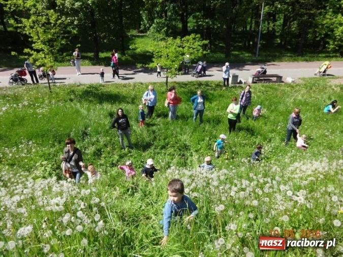 Zdjęcie w galerii na portalu naszraciborz.pl: Maluchy z Fiku-miku już na wakacjach  wiadomości z regionu