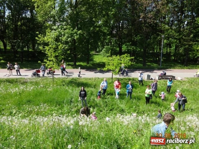 Zdjęcie w galerii na portalu naszraciborz.pl: Maluchy z Fiku-miku już na wakacjach  wiadomości z regionu