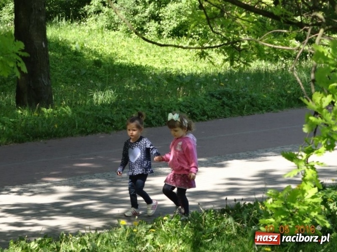 Zdjęcie w galerii na portalu naszraciborz.pl: Maluchy z Fiku-miku już na wakacjach  wiadomości z regionu