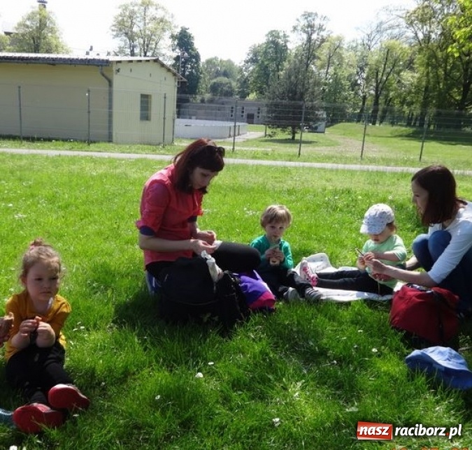Zdjęcie w galerii na portalu naszraciborz.pl: Maluchy z Fiku-miku już na wakacjach  wiadomości z regionu