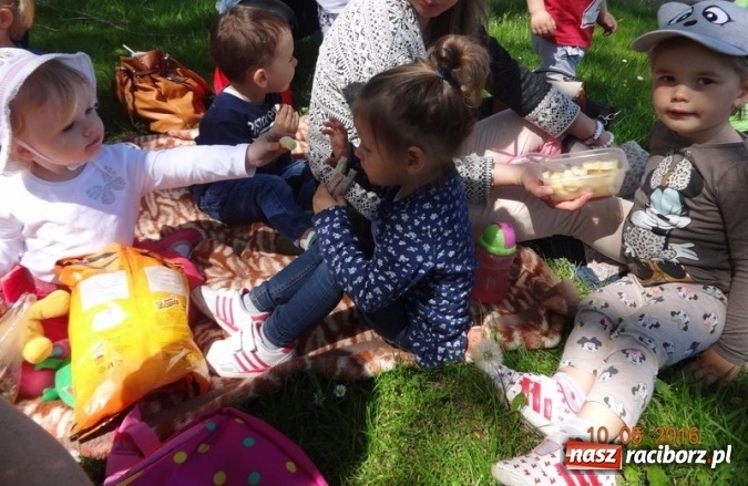 Zdjęcie w galerii na portalu naszraciborz.pl: Maluchy z Fiku-miku już na wakacjach  wiadomości z regionu