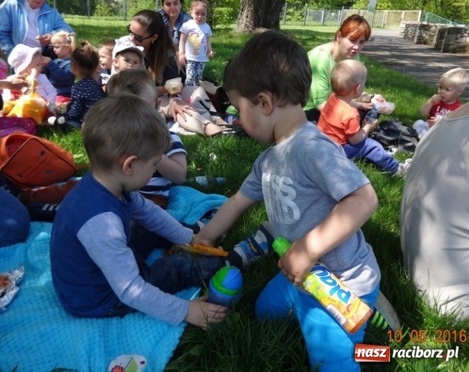 Zdjęcie w galerii na portalu naszraciborz.pl: Maluchy z Fiku-miku już na wakacjach  wiadomości z regionu