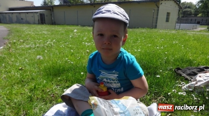 Zdjęcie w galerii na portalu naszraciborz.pl: Maluchy z Fiku-miku już na wakacjach  wiadomości z regionu