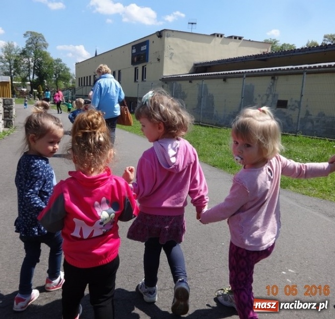 Zdjęcie w galerii na portalu naszraciborz.pl: Maluchy z Fiku-miku już na wakacjach  wiadomości z regionu