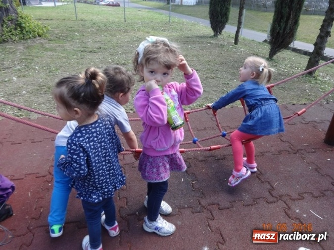 Zdjęcie w galerii na portalu naszraciborz.pl: Maluchy z Fiku-miku już na wakacjach  wiadomości z regionu