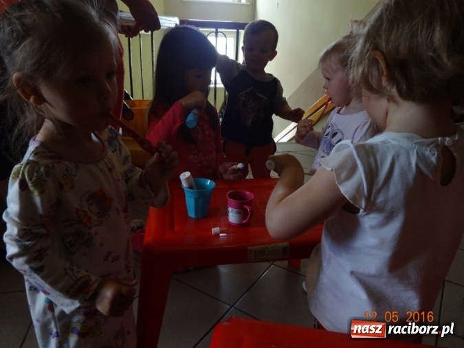 Zdjęcie w galerii na portalu naszraciborz.pl: Maluchy z Fiku-miku już na wakacjach  wiadomości z regionu