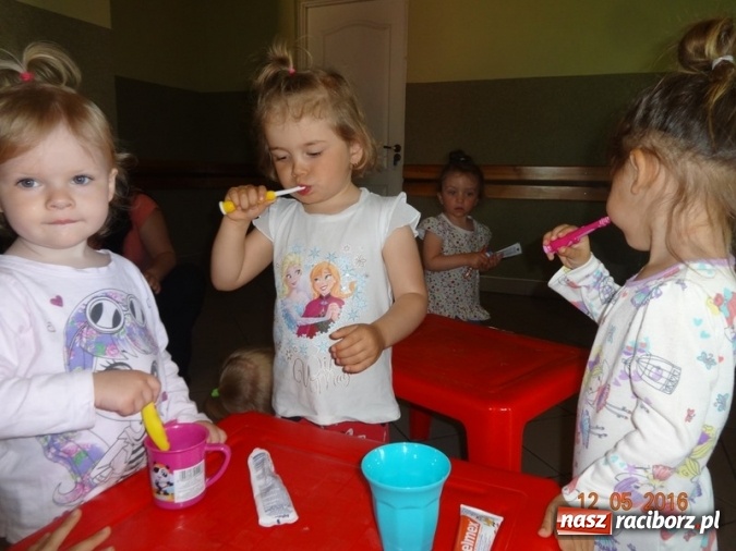 Zdjęcie w galerii na portalu naszraciborz.pl: Maluchy z Fiku-miku już na wakacjach  wiadomości z regionu