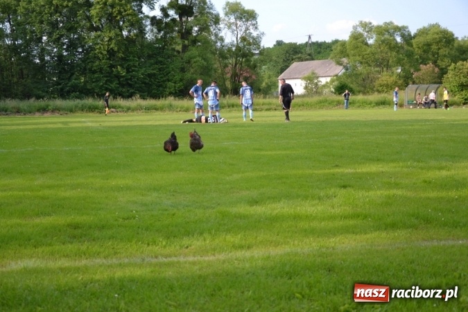 Zdjęcie w galerii na portalu naszraciborz.pl:  Rudnik kontra Jankowice, czyli arbiter i kury w roli głównej  wiadomości z regionu